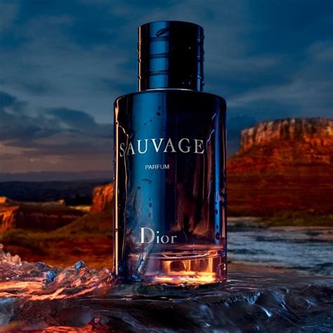 dior sauvage popular|Dior Sauvage best price uk.